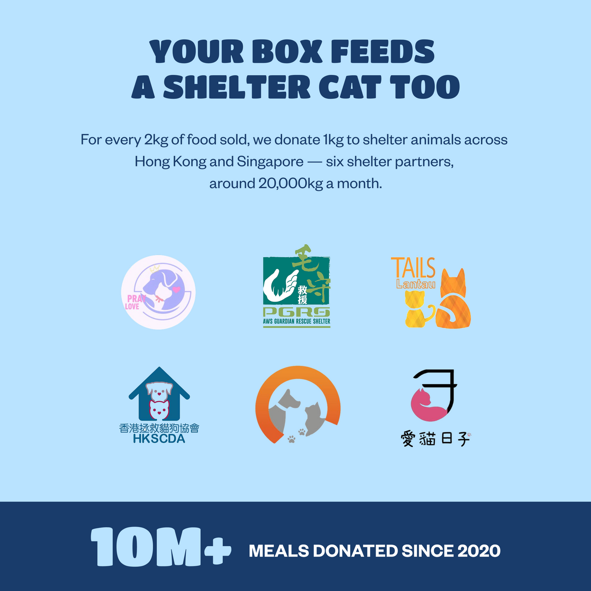 Cat Starter Box
