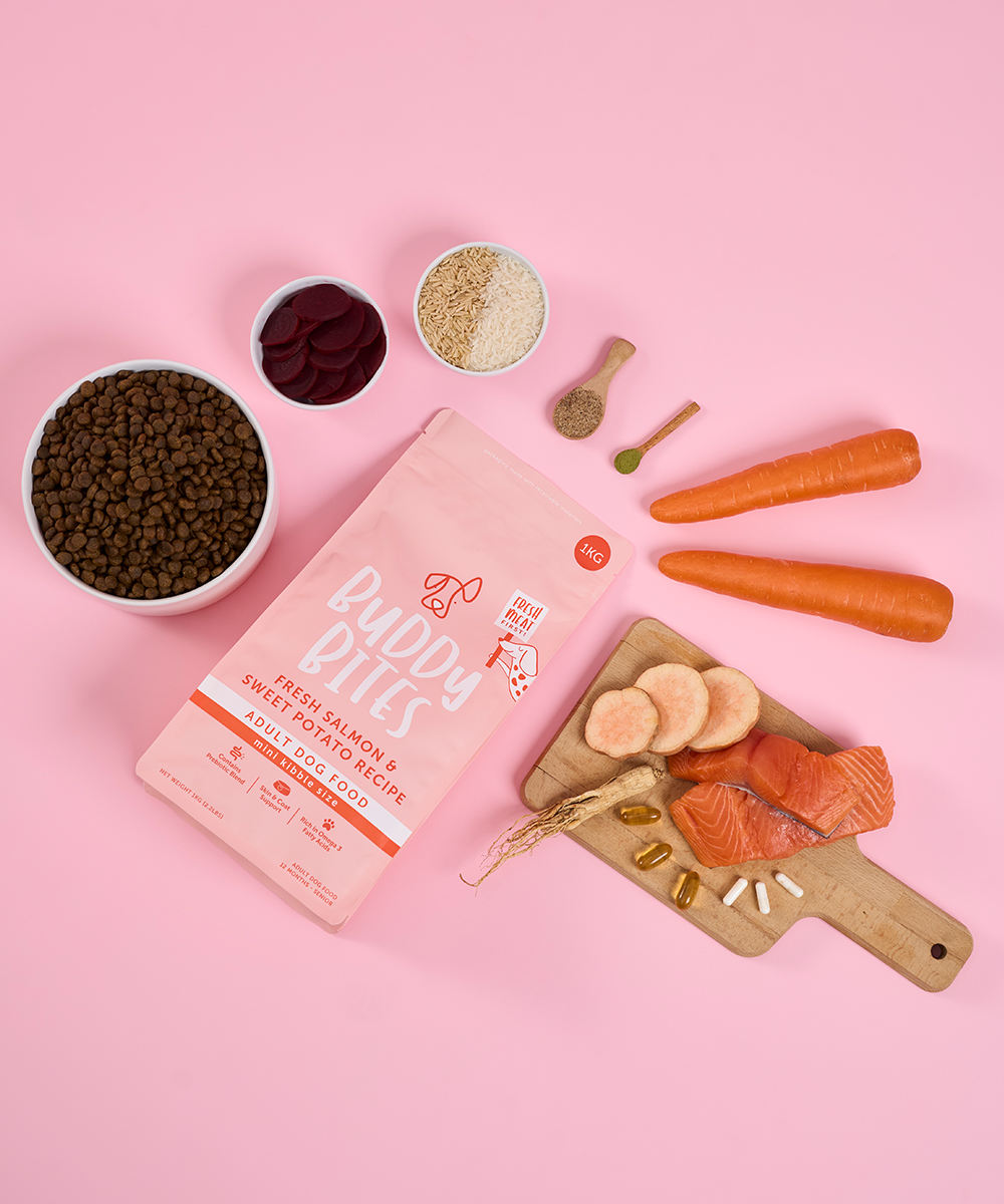 Adult Mini Salmon Dry Food