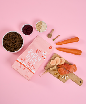 Adult Mini Salmon Dry Food