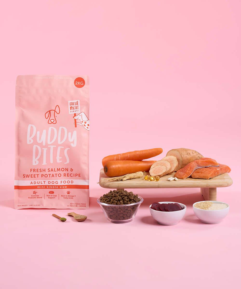 Adult Mini Salmon Dry Food