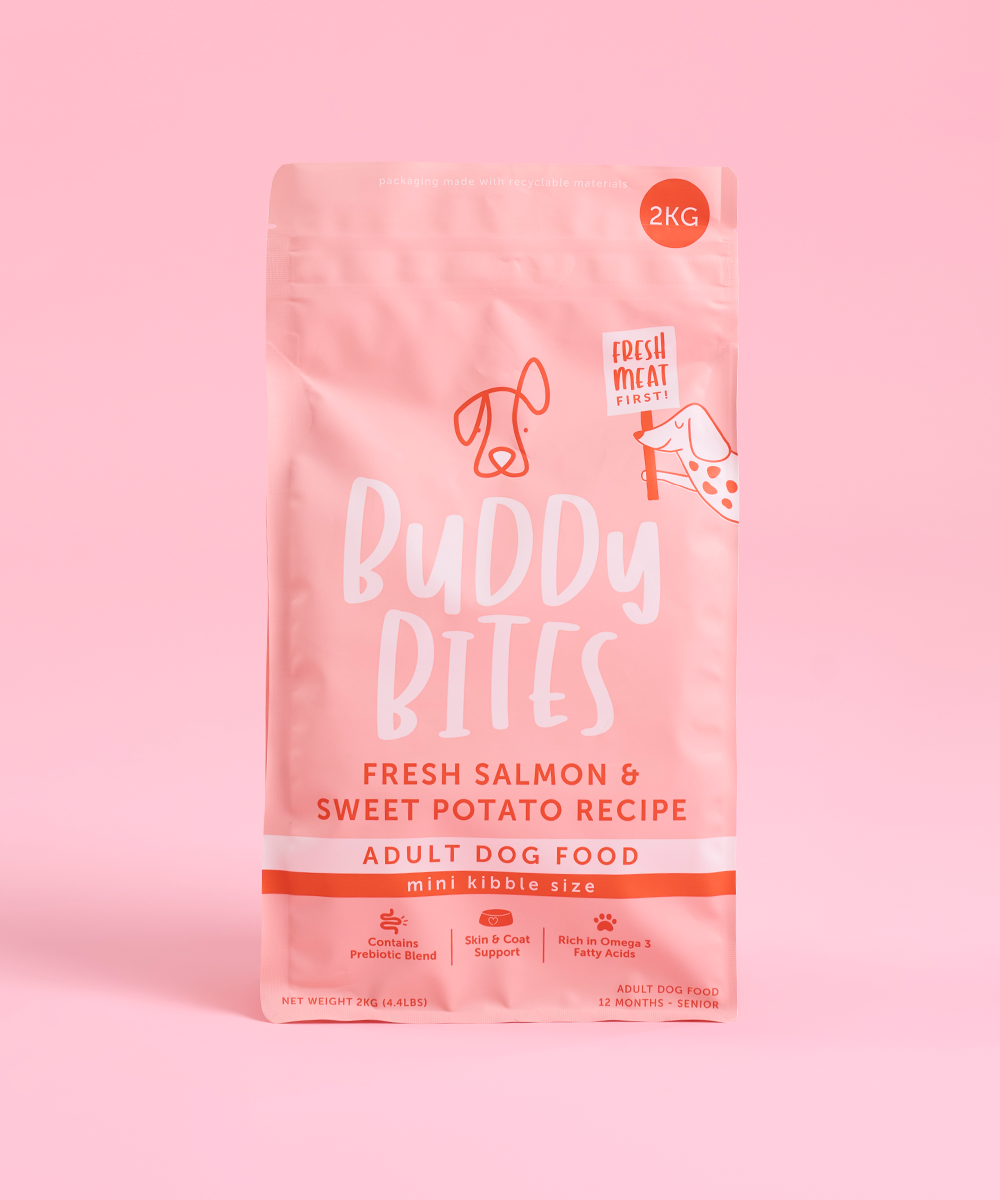 Adult Mini Salmon Dry Food