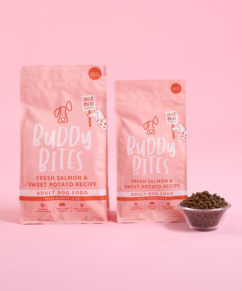 Adult Mini Salmon Dry Food