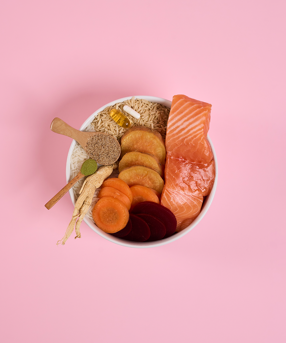 Adult Mini Salmon Dry Food