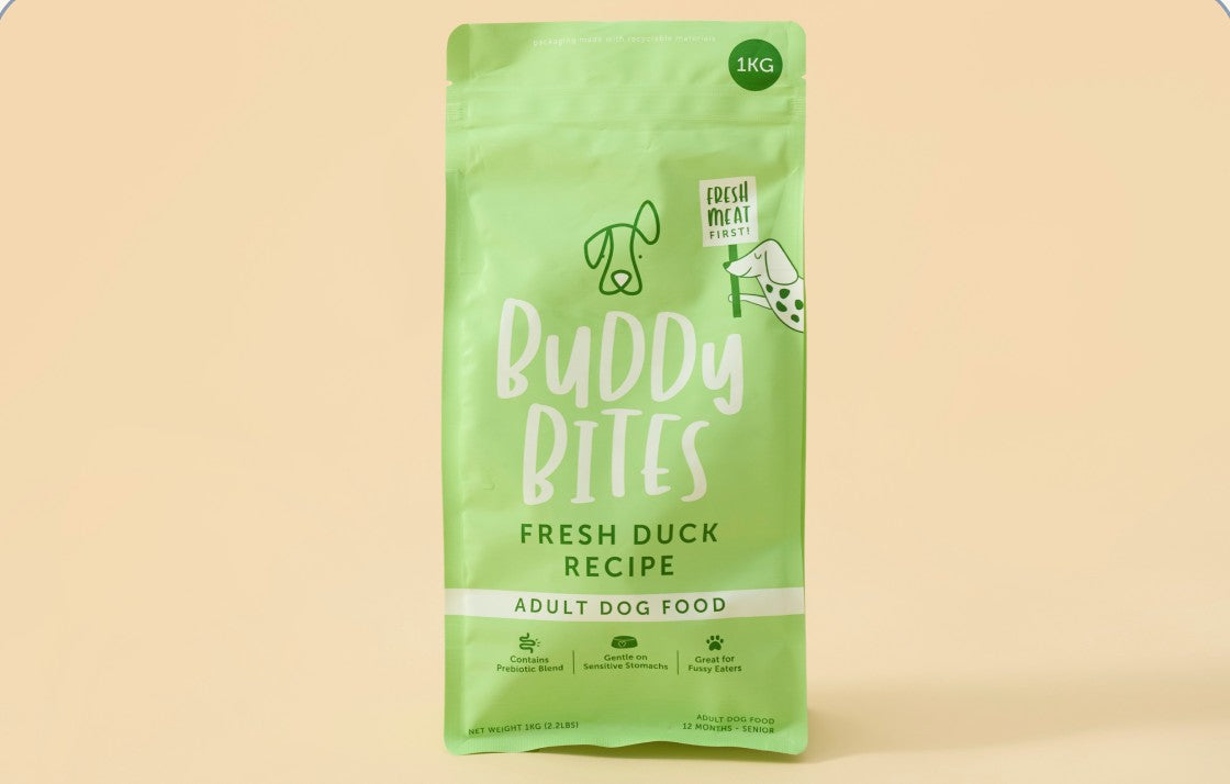 Adult Duck