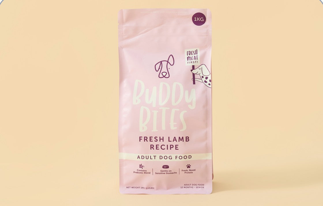 Adult Lamb