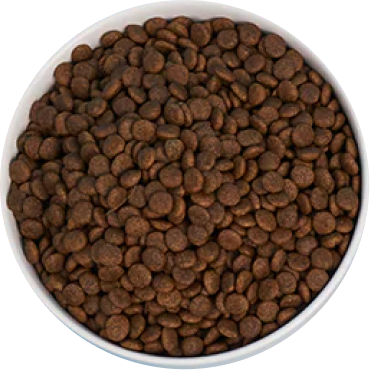 Puppy Recipe