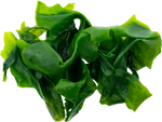 Nutritious Seaweed