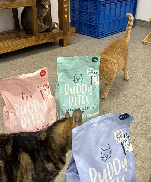 Buddy Bites at a partner shelter