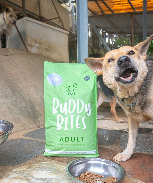 Buddy Bites at a partner shelter
