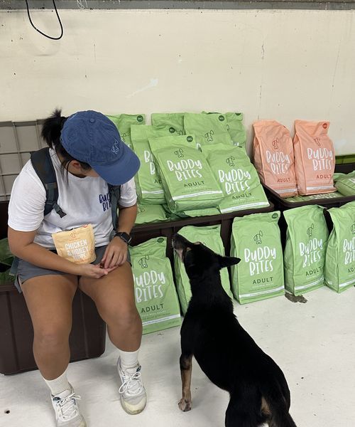 Buddy Bites at a partner shelter