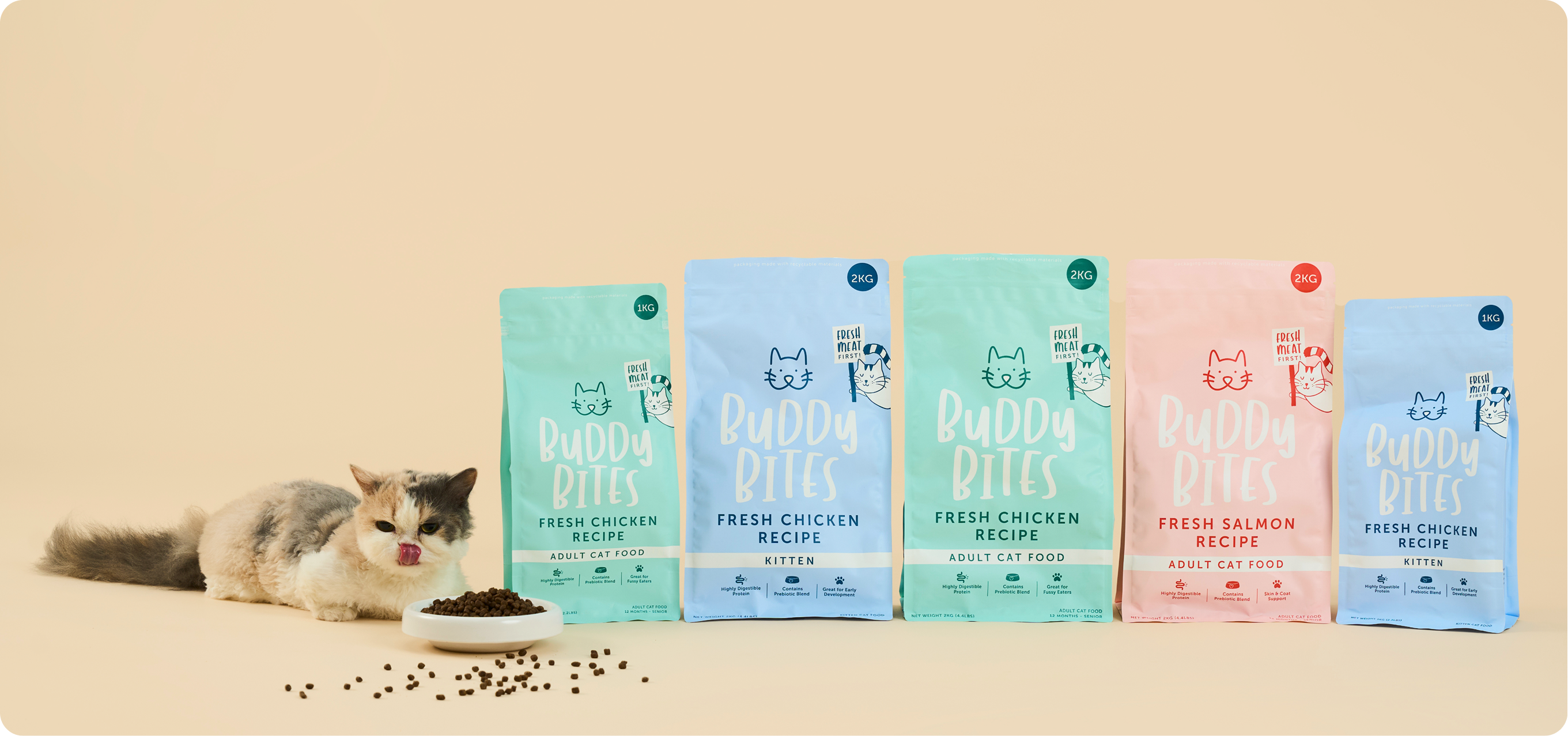 Sniff Out Our Latest Cat Products