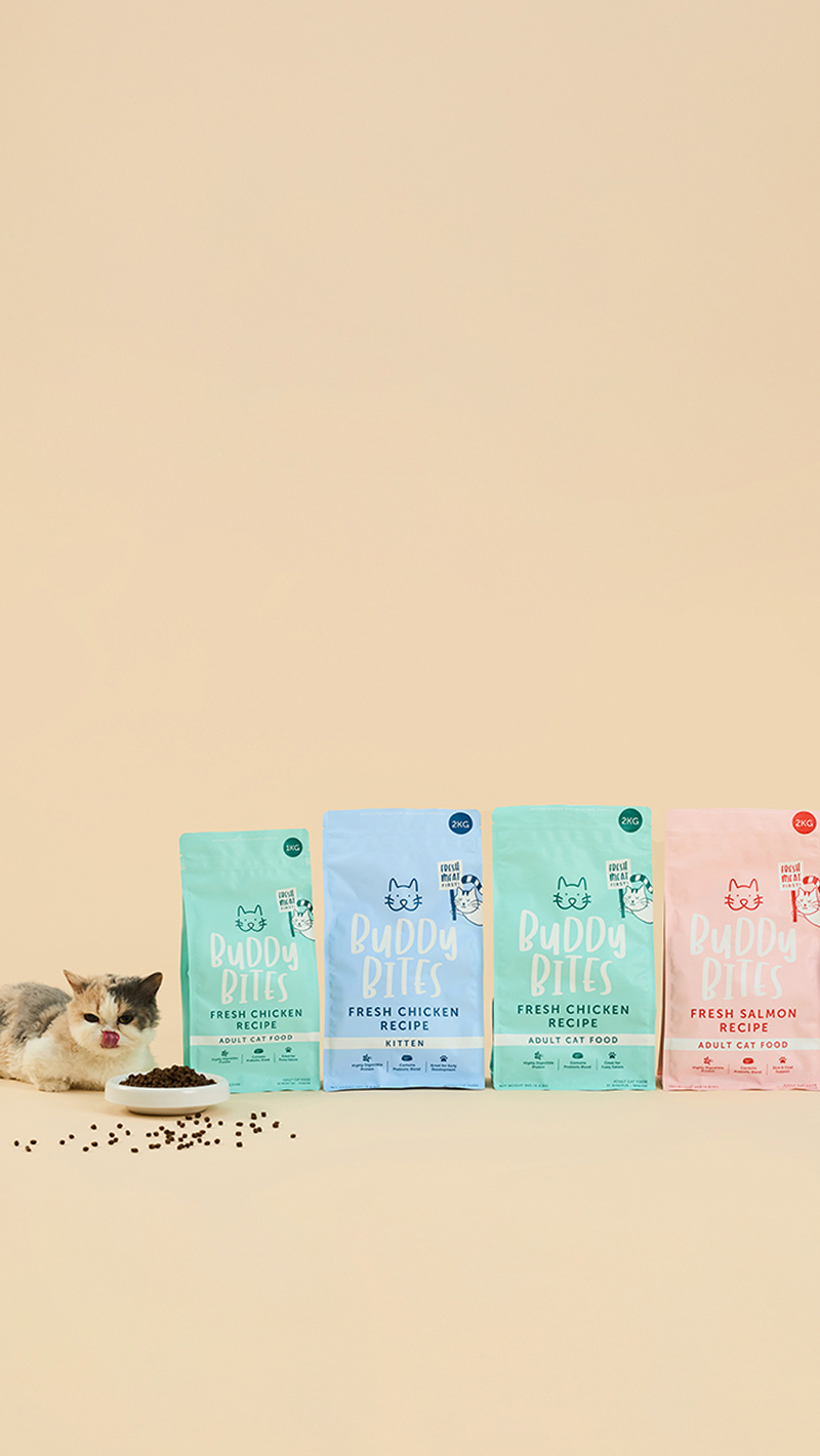 Sniff Out Our Latest Cat Products