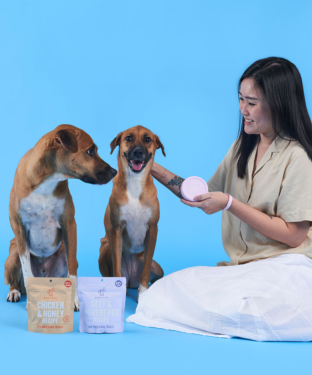 Dog Treat Pouch