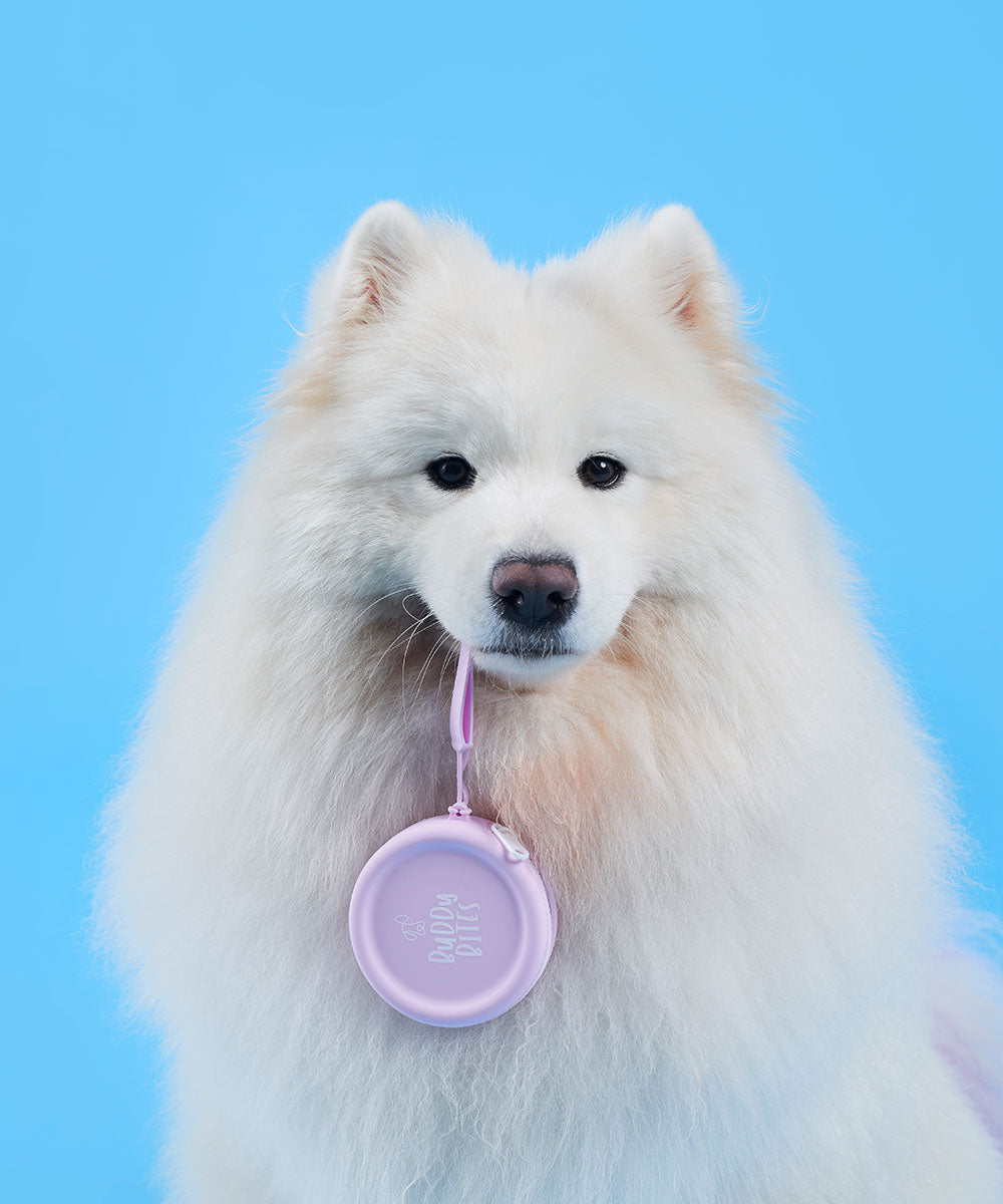 Dog Treat Pouch