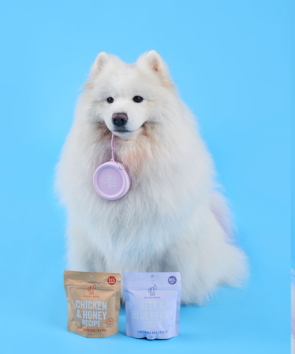 Dog Treat Pouch